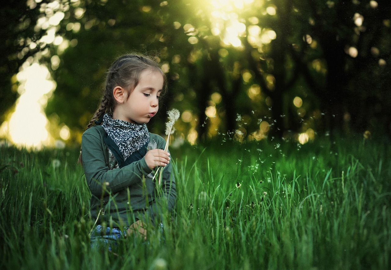 child, dandelion, kids-1347385.jpg